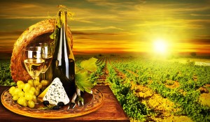 vinyard-cheese-red-white-wine