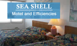 Sea Shell Motel and Efficiencies Virginia Beach Oceanfront Hotel